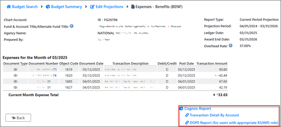 screenshot of expense drill through screen in new report